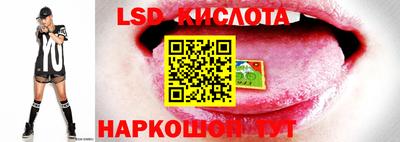 скорость Будённовск