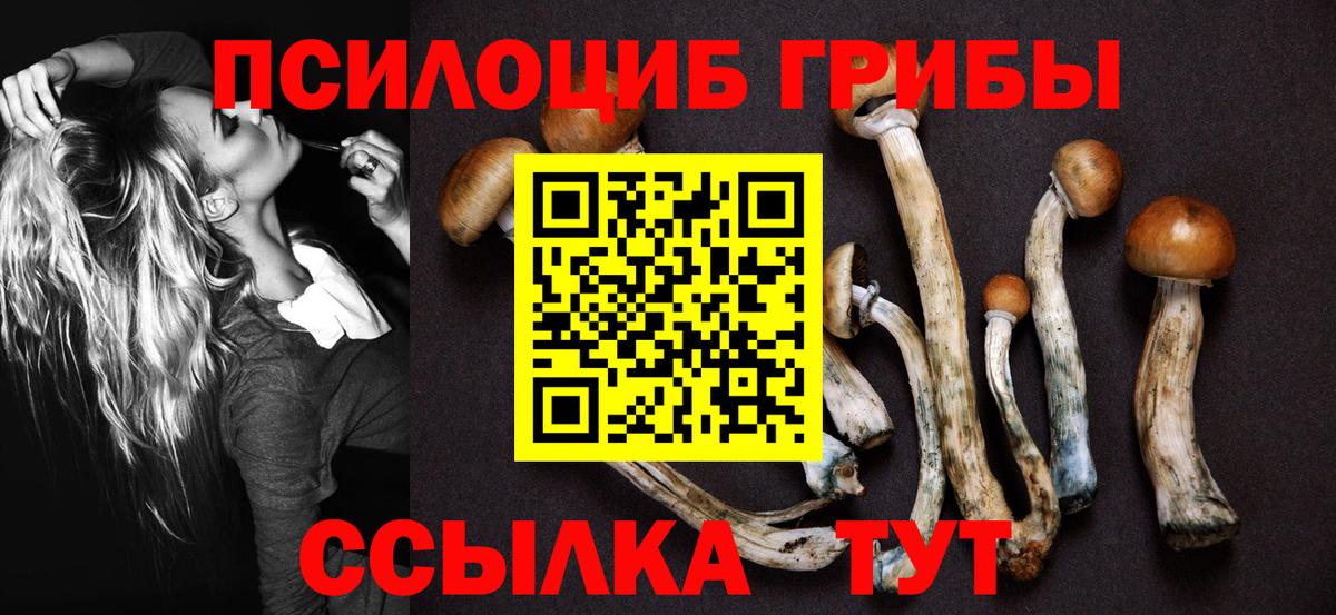 Галлюциногенные грибы Cubensis  Вход с VPN  Заринск 